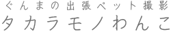 タカラモノわんこ